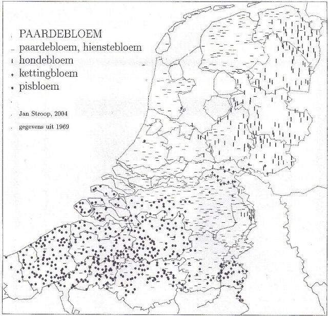 paardebloemweb.jpg